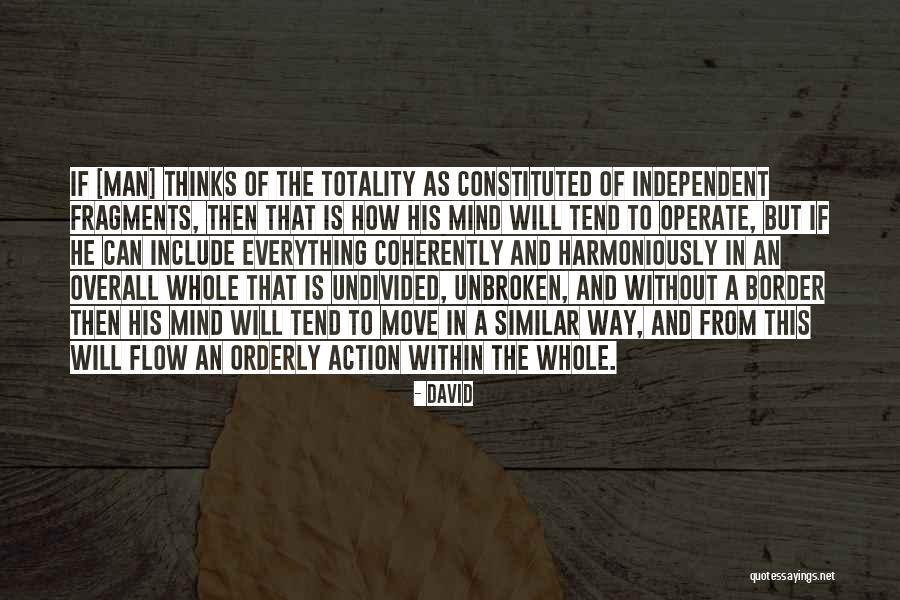 Man Of Action Quotes By David Man Of Action Quotes By David