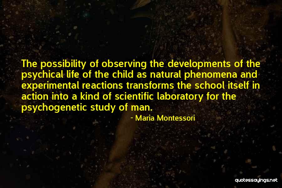 Man Of Action Quotes By Maria Montessori Man Of Action Quotes By Maria Montessori