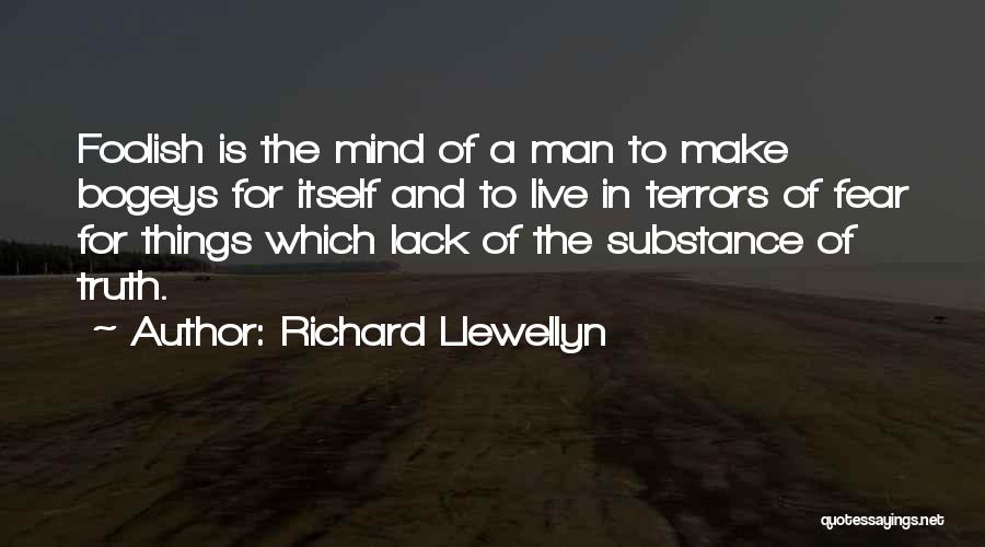 Man Of Substance Quotes By Richard Llewellyn