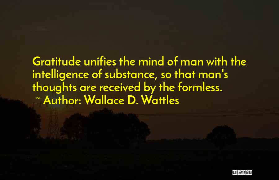 Man Of Substance Quotes By Wallace D. Wattles