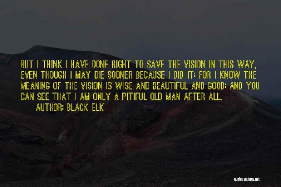 Man Of Vision Quotes By Black Elk