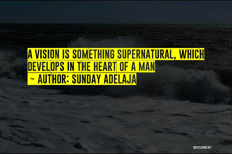 Man Of Vision Quotes By Sunday Adelaja