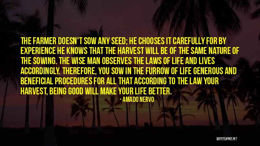 Man Of Your Life Quotes By Amado Nervo