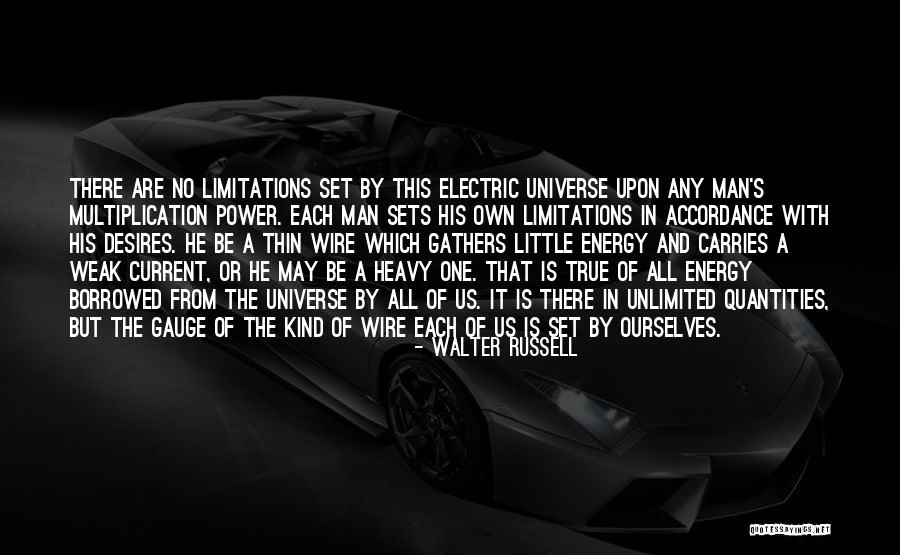 Man On Wire Best Quotes By Walter Russell