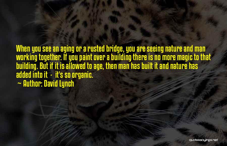 Man Over Nature Quotes By David Lynch