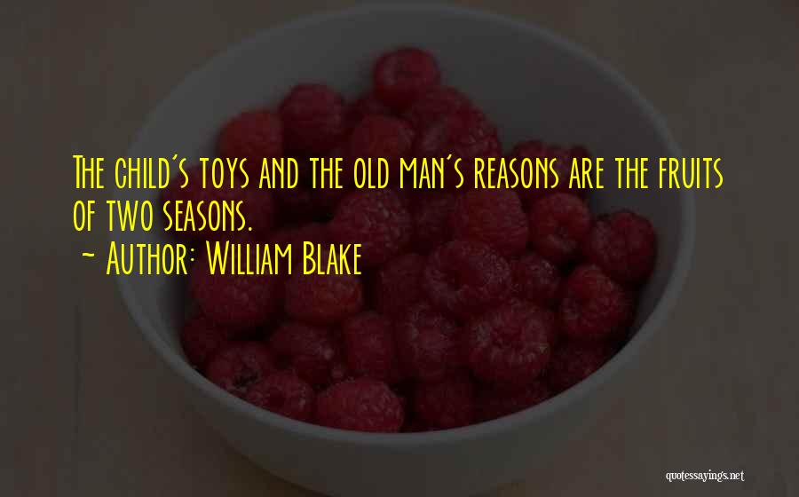 Man Toys Quotes By William Blake