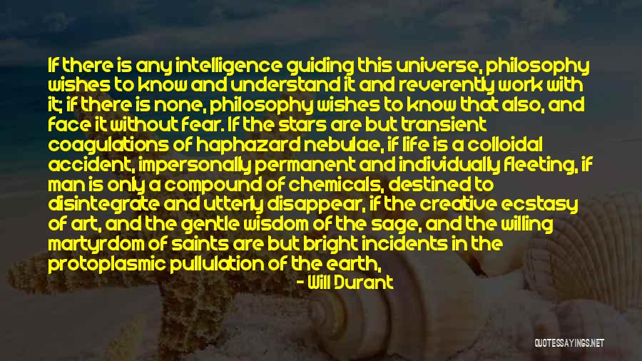 Man Without A Face Quotes By Will Durant