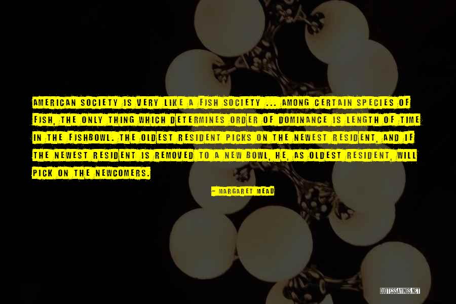 Manadas De Leones Quotes By Margaret Mead Manadas De Leones Quotes By Margaret Mead