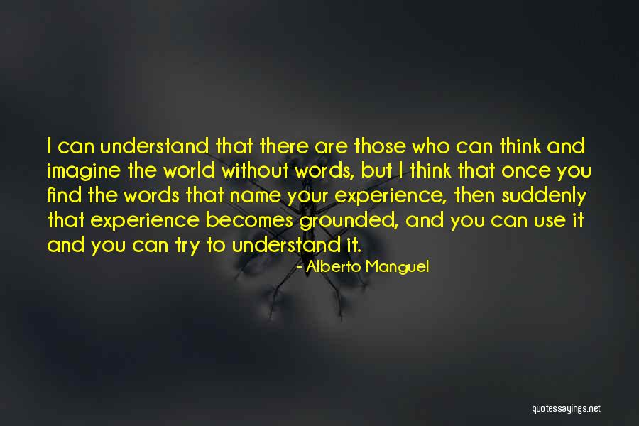 Manageability Inc Quotes By Alberto Manguel Manageability Inc Quotes By Alberto Manguel
