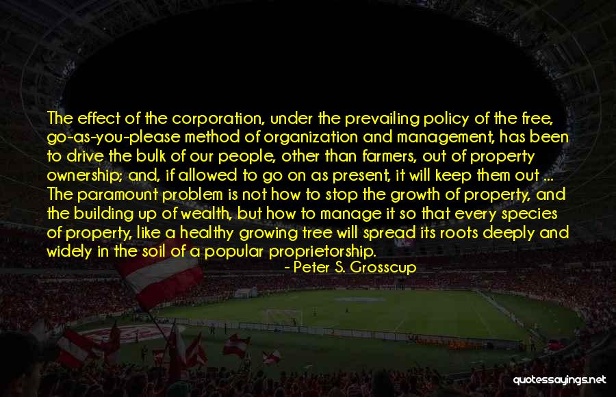 Management And Organization Quotes By Peter S. Grosscup Management And Organization Quotes By Peter S. Grosscup