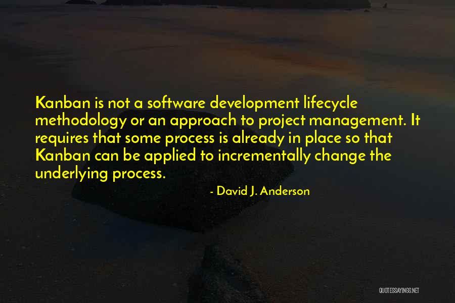 Management Development Quotes By David J. Anderson