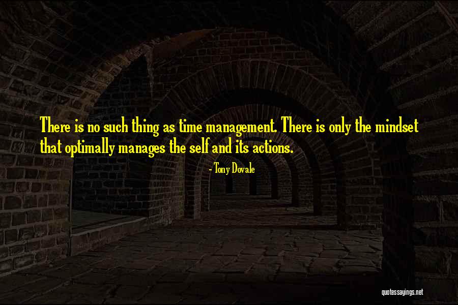 Management Development Quotes By Tony Dovale