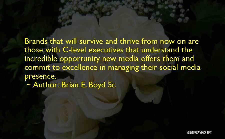 Management Excellence Quotes By Brian E. Boyd Sr.