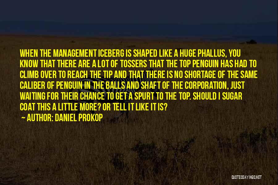 Management Inspirational Quotes By Daniel Prokop