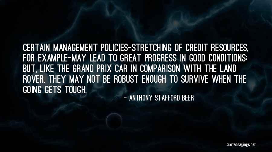 Management Of Resources Quotes By Anthony Stafford Beer