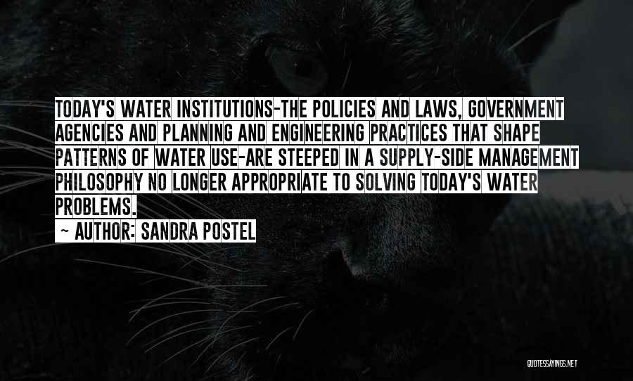 Management Planning Quotes By Sandra Postel