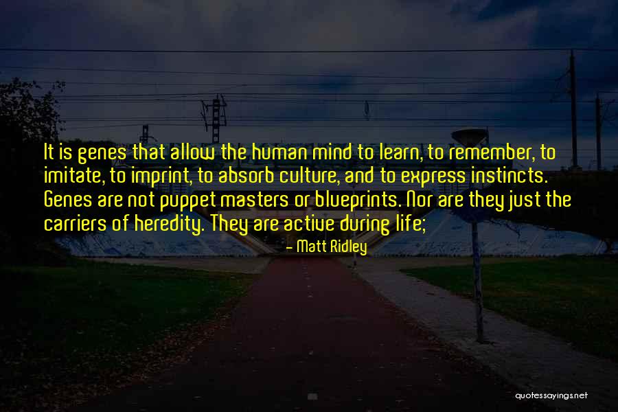 Management Skill Quotes By Matt Ridley Management Skill Quotes By Matt Ridley