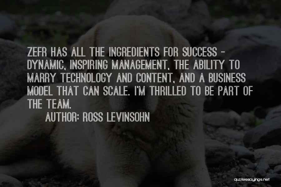 Management Team Quotes By Ross Levinsohn