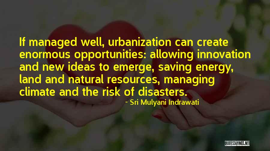 Managing Risk Quotes By Sri Mulyani Indrawati