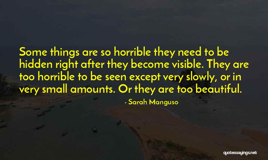 Manami Okuda Quotes By Sarah Manguso Manami Okuda Quotes By Sarah Manguso