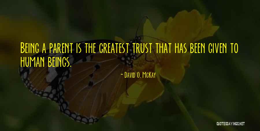 Manancial Christian Quotes By David O. McKay Manancial Christian Quotes By David O. McKay