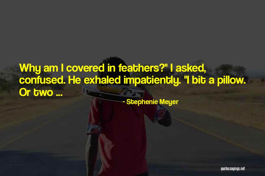 Manannan Mac Quotes By Stephenie Meyer Manannan Mac Quotes By Stephenie Meyer