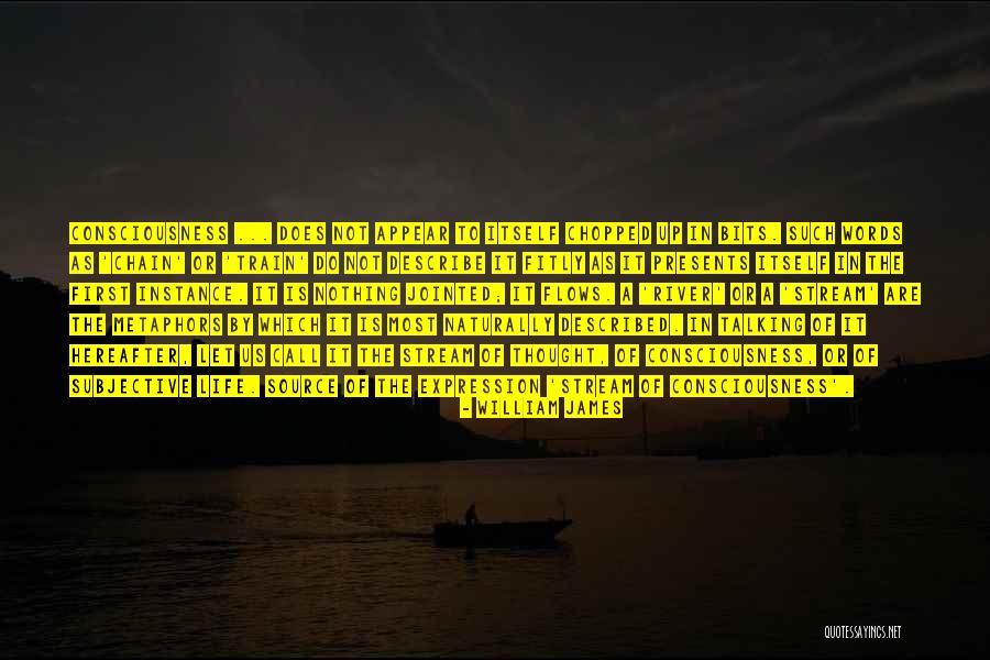 Manazira Quotes By William James Manazira Quotes By William James