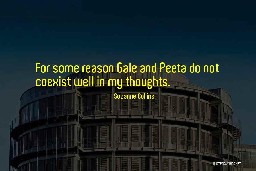 Mancebo Dairy Quotes By Suzanne Collins Mancebo Dairy Quotes By Suzanne Collins