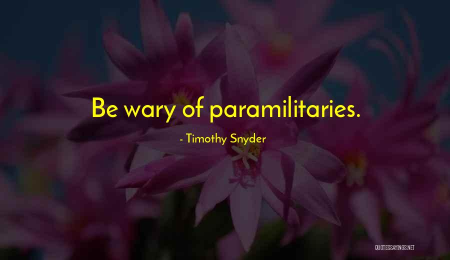 Mancis Menu Quotes By Timothy Snyder