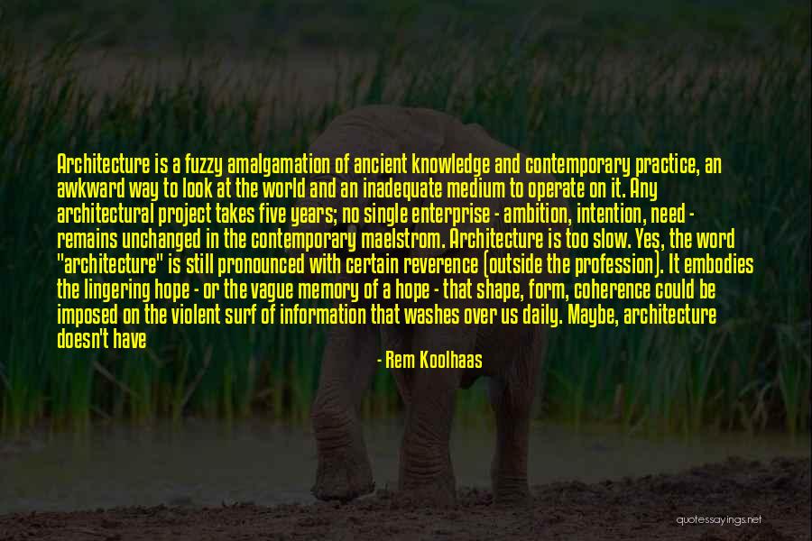 Mandated Vaccine Quotes By Rem Koolhaas Mandated Vaccine Quotes By Rem Koolhaas