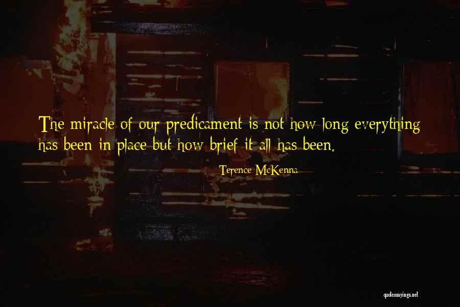 Mandela Effect Quotes By Terence McKenna Mandela Effect Quotes By Terence McKenna