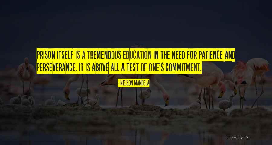 Mandela Quotes By Nelson Mandela Mandela Quotes By Nelson Mandela