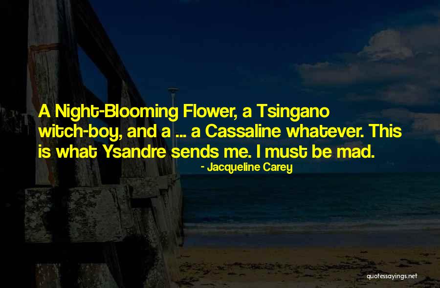Mandelli Sistemi Quotes By Jacqueline Carey Mandelli Sistemi Quotes By Jacqueline Carey