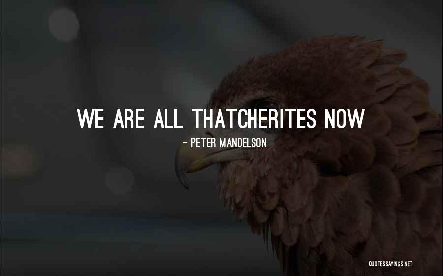 Mandelson Peter Quotes By Peter Mandelson Mandelson Peter Quotes By Peter Mandelson