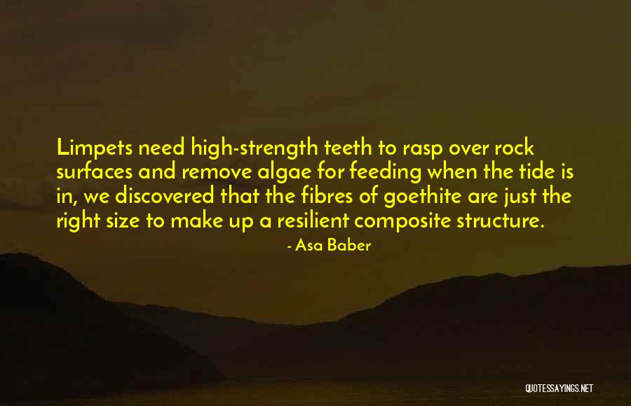 Mandibles Insects Quotes By Asa Baber Mandibles Insects Quotes By Asa Baber