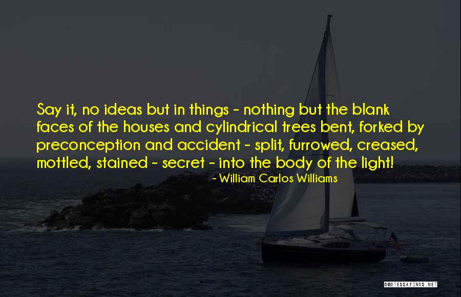 Mandibles Insects Quotes By William Carlos Williams Mandibles Insects Quotes By William Carlos Williams