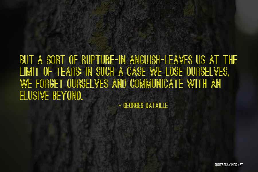 Mandler Lenses Quotes By Georges Bataille Mandler Lenses Quotes By Georges Bataille