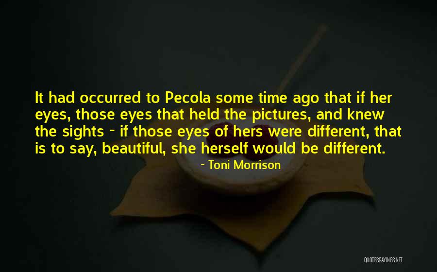 Mandragola Costume Quotes By Toni Morrison Mandragola Costume Quotes By Toni Morrison