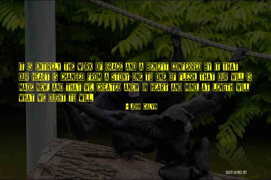 Mandviwala Mauser Quotes By John Calvin Mandviwala Mauser Quotes By John Calvin