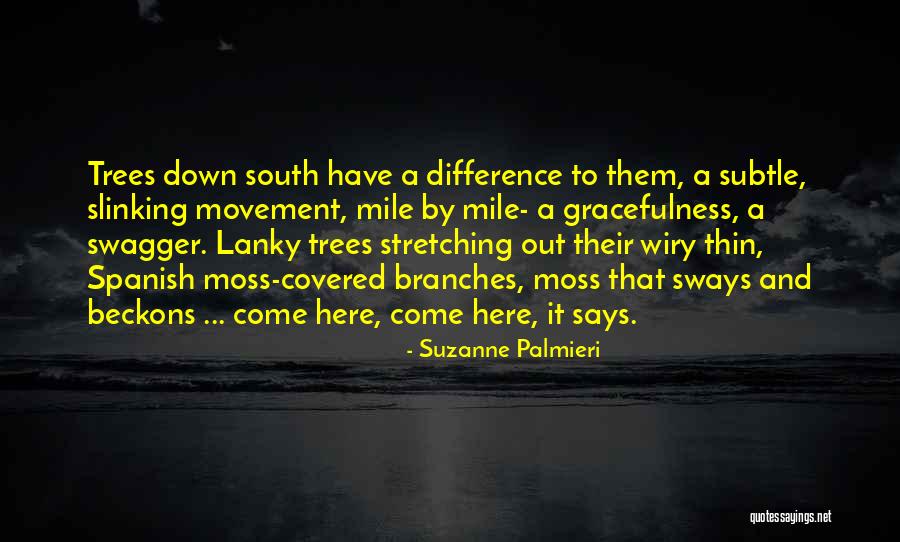 Manecillas Para Quotes By Suzanne Palmieri Manecillas Para Quotes By Suzanne Palmieri
