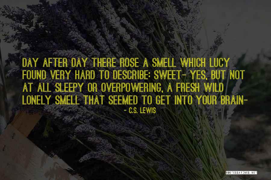 Manessis Travel Quotes By C.S. Lewis Manessis Travel Quotes By C.S. Lewis