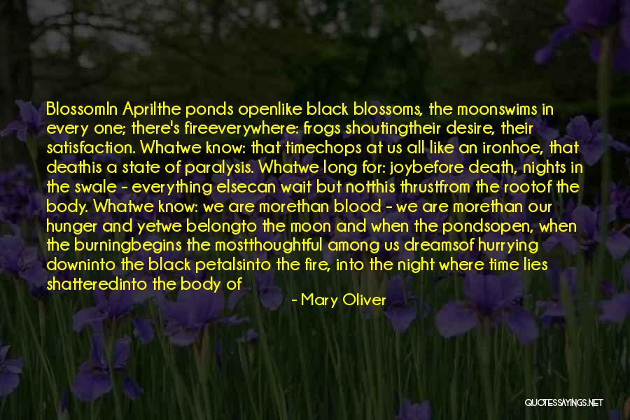 Manga Doom Quotes By Mary Oliver Manga Doom Quotes By Mary Oliver
