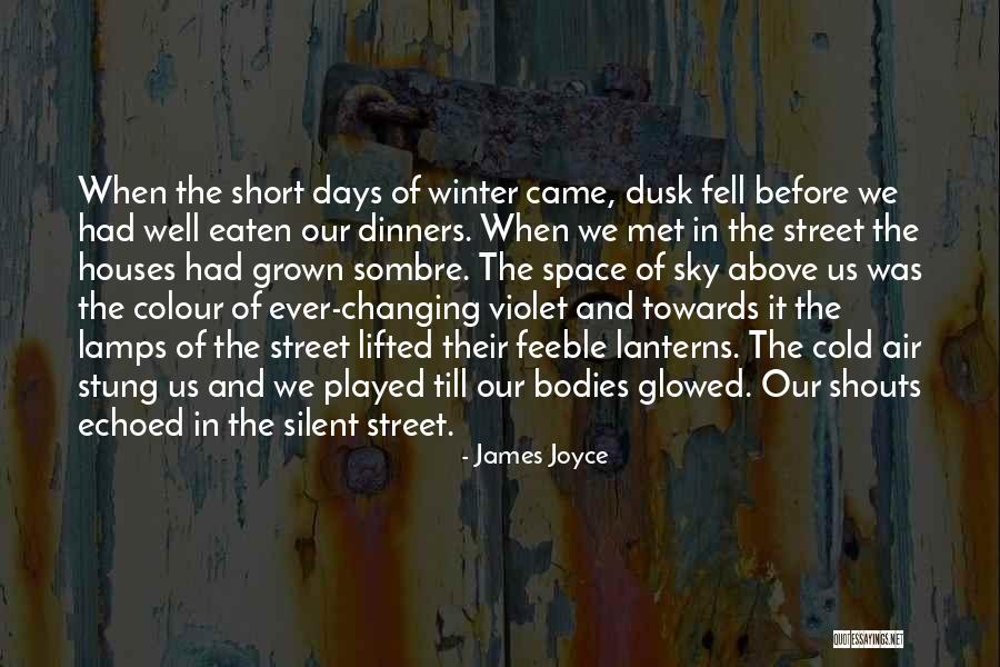 Mangaliso First Audition Quotes By James Joyce Mangaliso First Audition Quotes By James Joyce