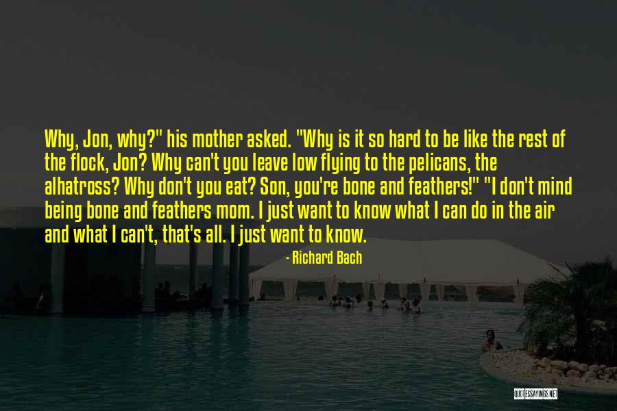 Mangiapane Calgary Quotes By Richard Bach Mangiapane Calgary Quotes By Richard Bach