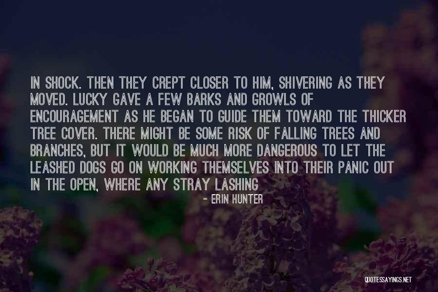 Mangiarotti Travertine Quotes By Erin Hunter Mangiarotti Travertine Quotes By Erin Hunter