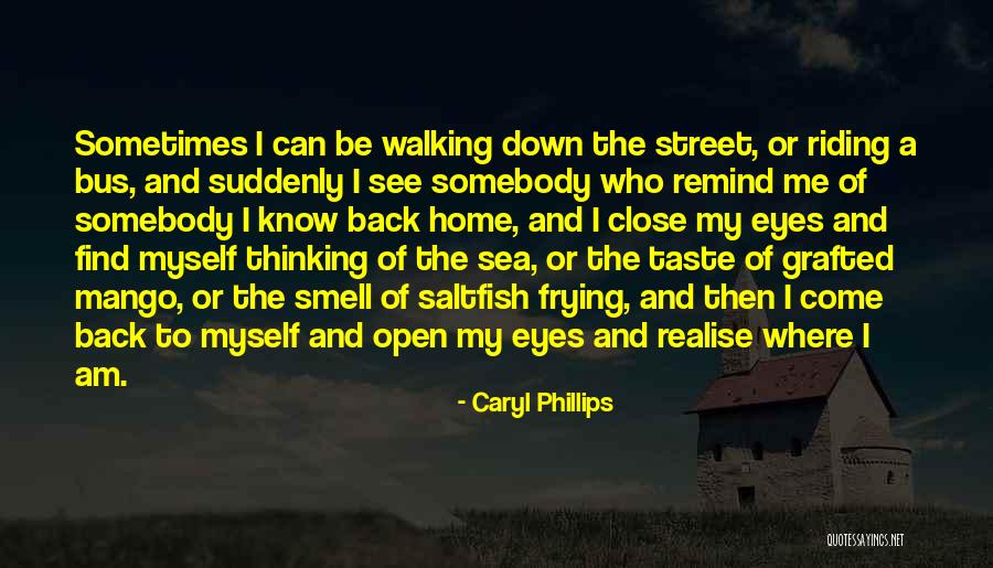 Mango Street Quotes By Caryl Phillips Mango Street Quotes By Caryl Phillips