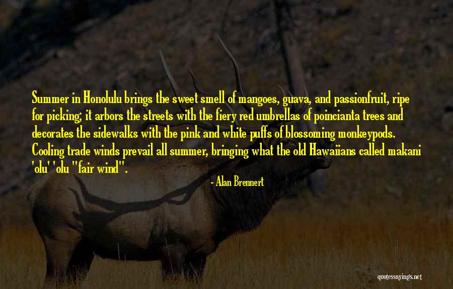 Mangoes Quotes By Alan Brennert Mangoes Quotes By Alan Brennert