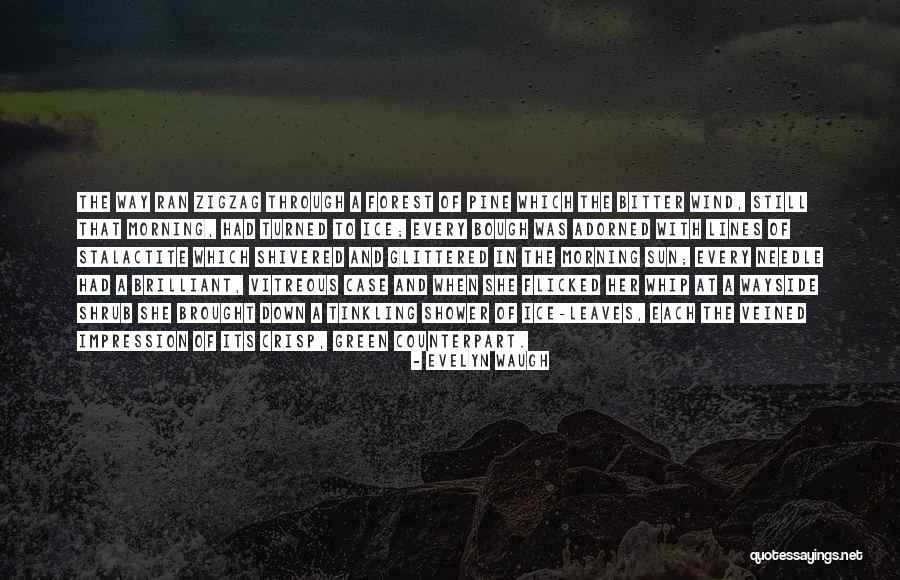 Mangold Horticulture Quotes By Evelyn Waugh Mangold Horticulture Quotes By Evelyn Waugh