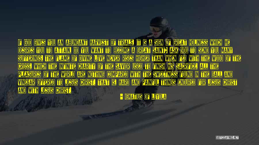 Mangueira Samba Quotes By Ignatius Of Loyola Mangueira Samba Quotes By Ignatius Of Loyola