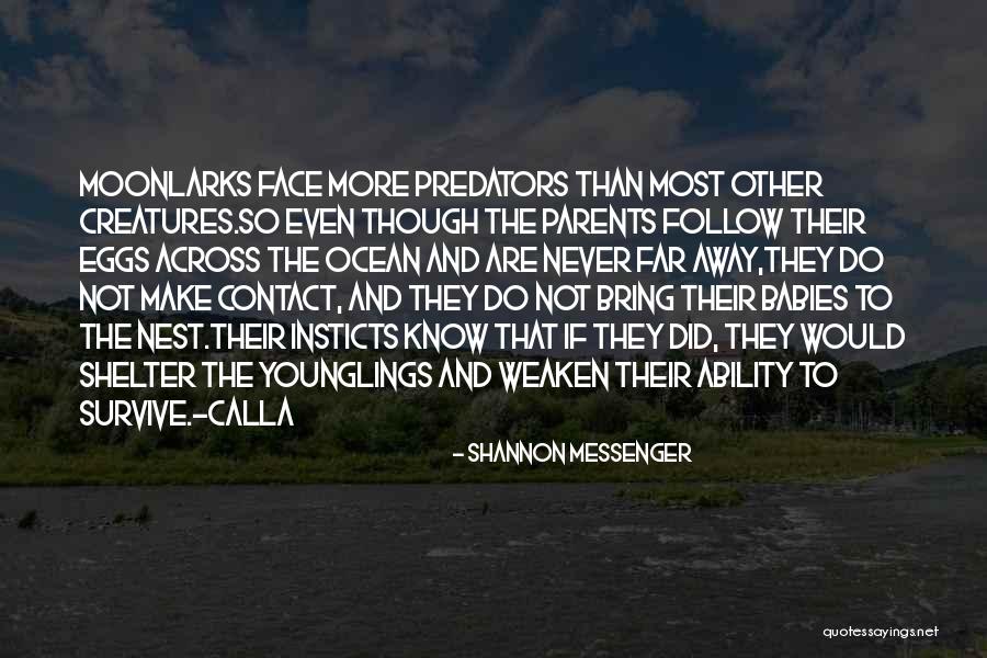 Manguso Land Quotes By Shannon Messenger Manguso Land Quotes By Shannon Messenger